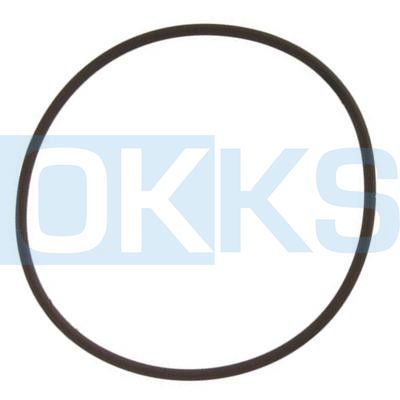 Hydraulic Piston Rubber FKM (17C)