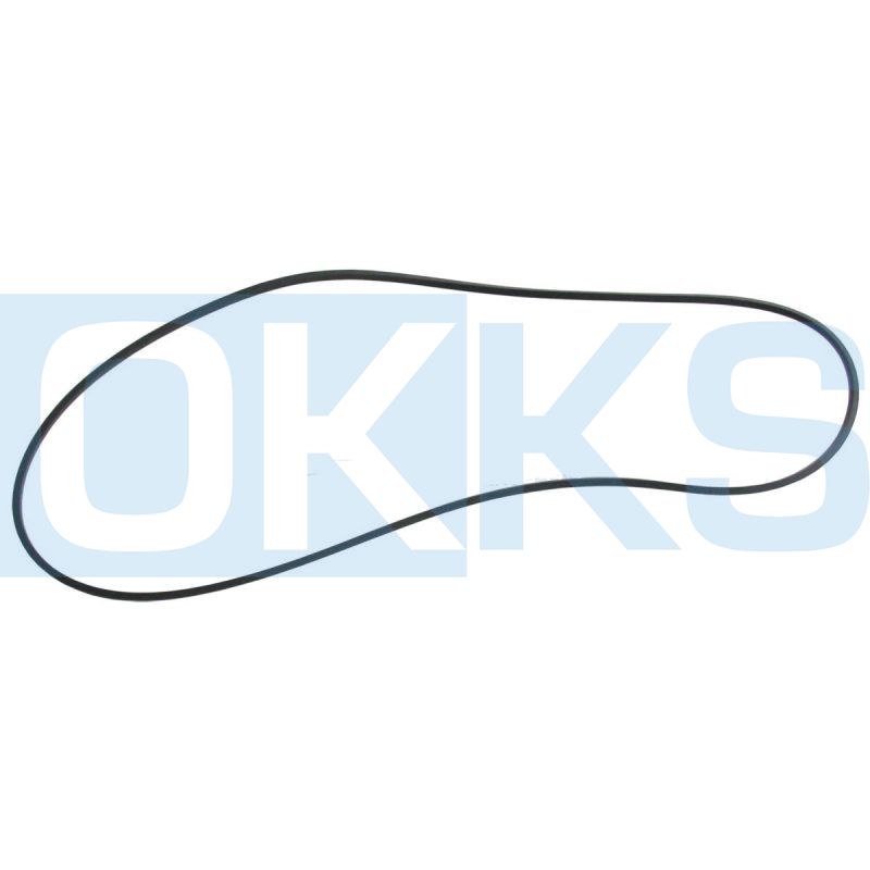 Уплотнение тормозного поршня – Длинное FKM