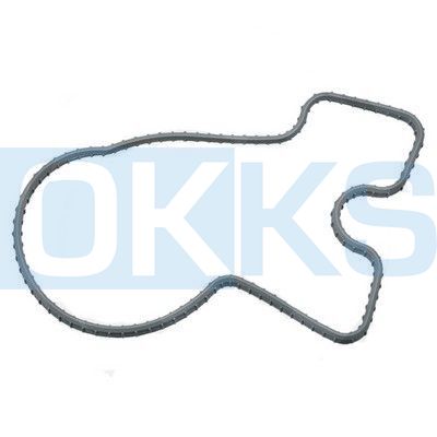 Прокладка термостата коллектора FKM