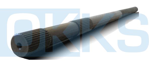 AKS DİŞLİ